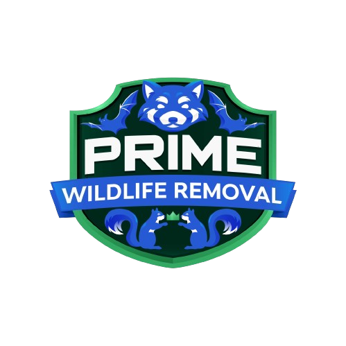 Green Oak Wildlife Removal